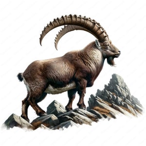 Clipart Alpensteenbok | Majestueuze alpensteenbok clipartbundel | 10 hoogwaardige ontwerpen | Wildkunst in de bergen | Afdrukbare items | Commercieel gebruik