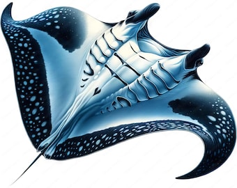 Manta Ray Clipart | Marine Animal Illustrations (Digital Prints)