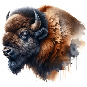 American Bison Clipart | Majestic Bison Clipart Bundle | 10 High-Quality Designs | Wildlife Art | Printables | Commercial Use