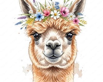 Watercolor Alpaca Clipart: Floral Animal PNG Designs (Commercial Use, Digital Download