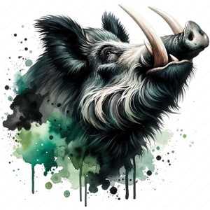 Cinghiale Clipart / Clipart Bundle / 10 disegni di alta qualità / Arte murale / Artigianato di carta / Abbigliamento / Stampe digitali / Uso commerciale