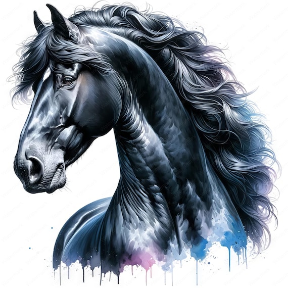 優雅なフリースランド馬のクリップアート集 | 乗馬アート（デジタル