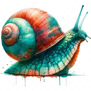 Schnecke Clipart | Lebendige Schnecke Clipart Bundle | 10 hochwertige Designs | Natur Kunst | Drucksachen | Kommerzielle Nutzung