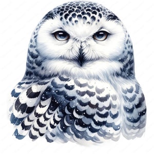 Clipart Harfang des neiges | Ensemble de cliparts majestueux harfang des neiges | 10 modèles de haute qualité | Art animalier | Imprimables | Utilisation commerciale