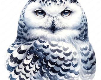 Snowy Owl Clipart | Majestic Snowy Owl Clipart Bundle | 10 High-Quality Designs | Wildlife Art | Printables | Commercial Use