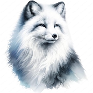 Op de afbeelding: Een witte poolvos met blauwe ogen, geschilderd in aquarel. De vos heeft een pluche witte vacht en een zwarte neus. De achtergrond is een lichtblauwe aquarelwas.
