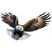Flying Bald Eagle Clipart Majestic Bald Eagle Clipart Bundle 10 High ...