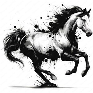 Clipart cheval | Lot de cliparts cheval dynamique | 10 modèles de haute qualité | Art cheval | Imprimables | Utilisation commerciale