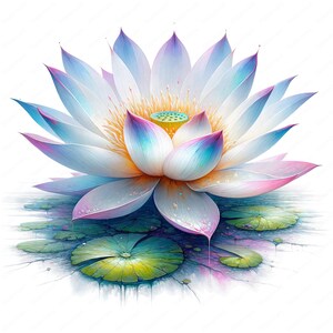 May include: A white lotus flower with pink and blue hues, blooming in a pond with green lily pads. The flower has a yellow center and is surrounded by water droplets.