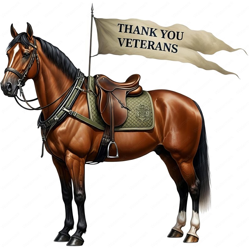 K&ouml;nnte beinhalten: Ein braunes Pferd mit schwarzer M&auml;hne und Schweif tr&auml;gt einen Sattel und ein Zaumzeug. Das Pferd steht auf wei&szlig;em Hintergrund. Ein wei&szlig;es Banner mit dem Text "Danke an die Veteranen" h&auml;ngt am R&uuml;cken des Pferdes.