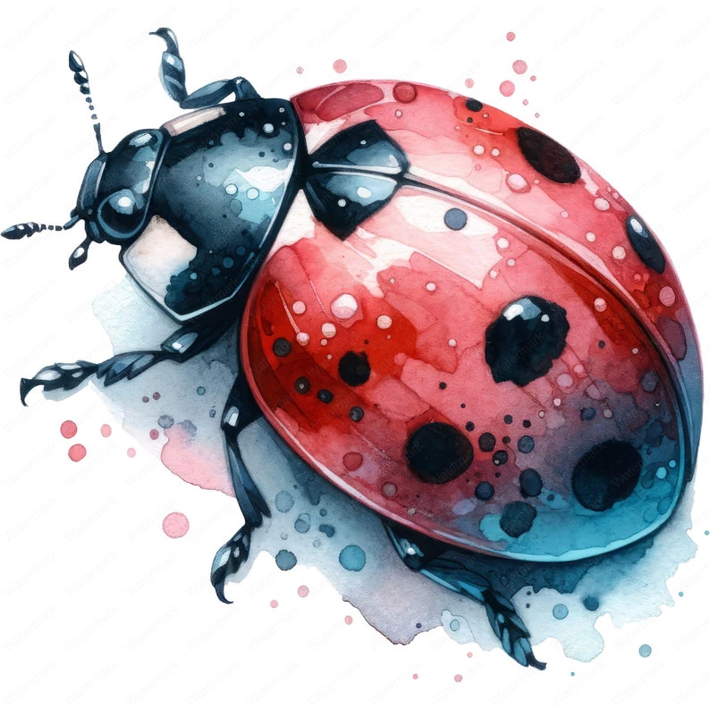 Ladybug Clipart Bundle | Watercolor Style, Commercial Use (digital ...