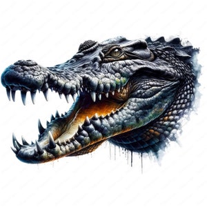 May include: A close-up of a crocodile's head with its mouth open, revealing sharp teeth. The crocodile's skin is textured and has a dark green and black color scheme. The background is white.