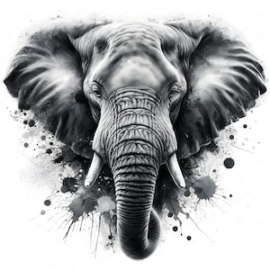 Wildlife-clipart | Majestueuze olifant clipartbundel | 10 hoogwaardige ontwerpen | Olifantkunst | Afdrukbare items | Commercieel gebruik