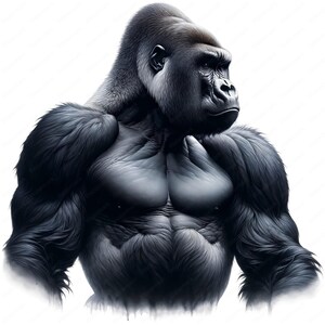 Silverback Gorilla Clipart | Mighty Silverback Gorilla Clipart Bundle | 10 High-quality Designs ...