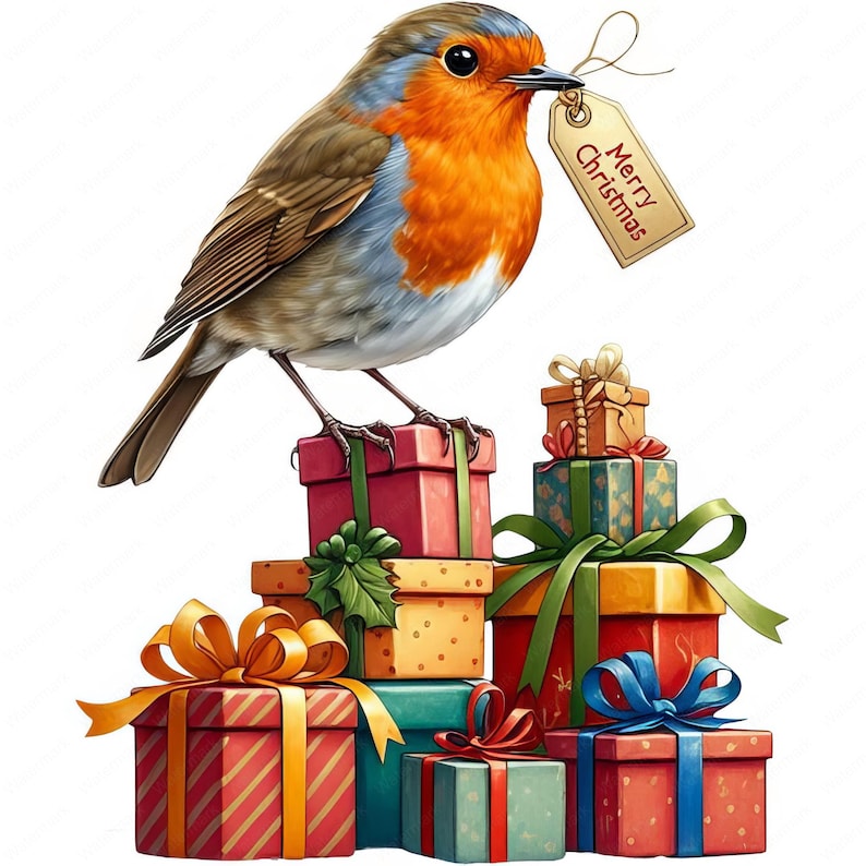 Christmas Robin Clipart Bundle: Festive Bird Art (digital Download) - Etsy