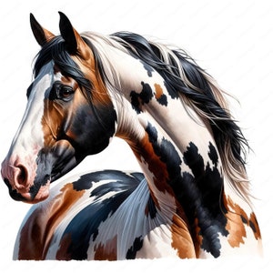 Clipart cheval de peinture | Lot de cliparts majestueux cheval de peinture | 10 modèles de haute qualité | Art équin | Imprimables | Utilisation commerciale