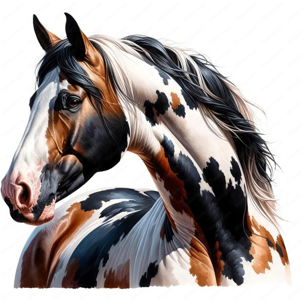 Paint Horse Clipart | Majestic Paint Horse Clipart Bundle | 10 High-Quality Images | Equine Art | Printables | Commercial Use