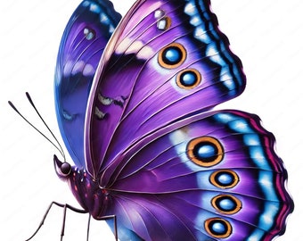 Puede incluir: Una mariposa púrpura con marcas azules y naranjas en sus alas. La mariposa está en vuelo con sus alas extendidas.