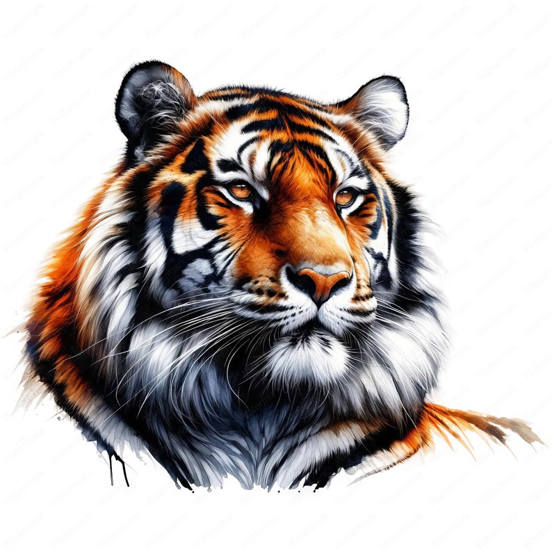 May include: A close-up portrait of a tiger with orange and black stripes. The tiger has a white chest and a serious expression. The background is white.