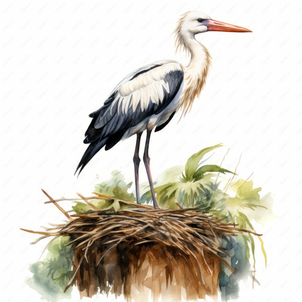 Stork Clipart Etsy