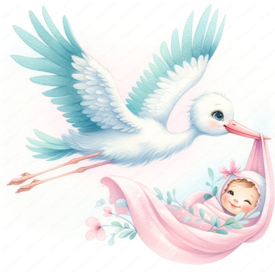 Stork Baby Girl Clipart Baby Girl Arrival Clipart Bundle 10 High