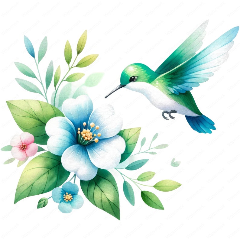 May include: A watercolor painting of a hummingbird with green and blue wings hovering near a white flower with a blue center. The flower is surrounded by green leaves and a pink flower.