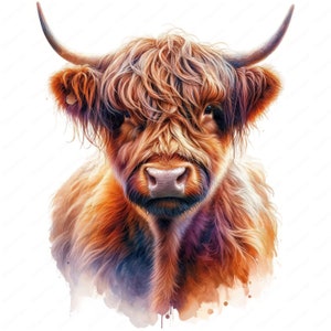 May include: A close-up portrait of a Highland cow with long, reddish-brown fur and a white patch on its forehead. The cow has large, dark eyes and a gentle expression. The background is a soft, watercolor wash of blue and pink.
