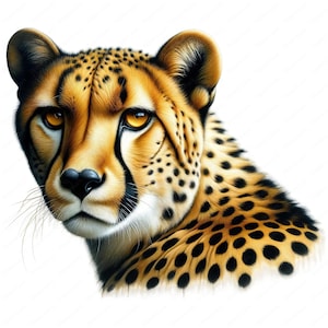 Cheetah Clipart / Swift Cheetah Clipart Bundle / 10 disegni di alta qualità / Savanna Art / Stampabili / Uso commerciale