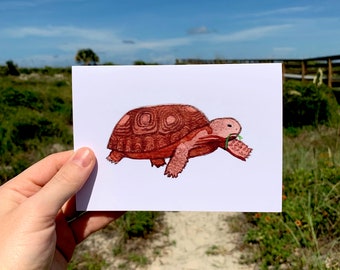 Gopher Tortoise Watercolor Note Card, Blank Card, Greeting Card, Animal Card