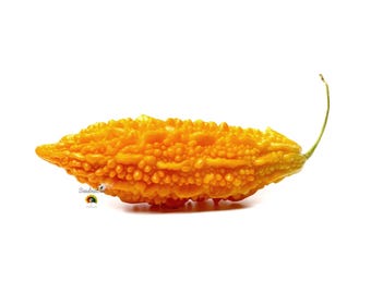 Momordica charantia - Melón amargo - 10 semillas