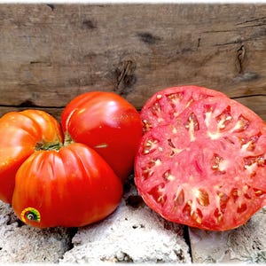 Puede incluir: Cuatro tomates rojos maduros, uno cortado por la mitad para revelar el interior jugoso. Los tomates descansan sobre una superficie texturizada y clara contra un fondo de madera rústica. Una pegatina es visible en un tomate.