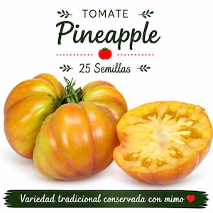 Ananas Tomat - 25 frön