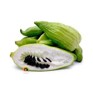 Cyclanthera pedata - Caigua - 5 seeds