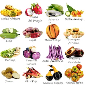 Op de afbeelding: Een verzameling van diverse exotische groenten en fruit, waaronder drakenfruit, een gele gehoornde meloen en paarse bonen. De afbeelding toont een verscheidenheid aan kleuren en texturen, die de diversiteit van producten benadrukken.