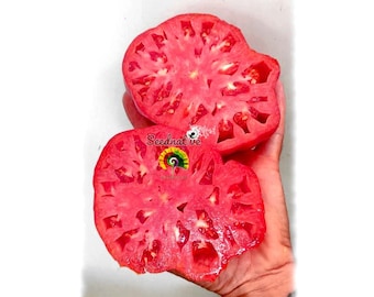 Tomate Rosa de Jaca - 20 semillas - Reliquia, Tomate Antiguo