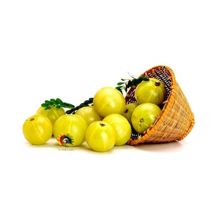 Puede incluir: Una cesta de mimbre desbordante de grosellas frescas de color amarillo verdoso. Algunas de las frutas se han derramado, esparcidas alrededor de la cesta. Hojas verdes se intercalan entre la fruta, creando una estética natural y saludable.