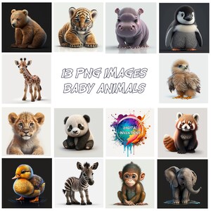 13 PNG Images - Various Baby Animals, Cute, Realistic, Watercolour