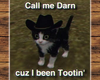 Call Me Darn Cuz I Been Tootin' | Low Poly Cowboy Cat Sticker