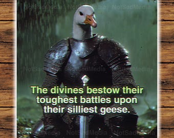 The Divines Bestow Their Toughest Battles Upon Their Silliest Geese | The Frog Mage | Goose Knight | Sticker