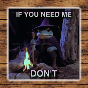 May include: A frog wearing a purple robe and a pointed hat sits by a campfire. The text "IF YOU NEED ME DON'T" is written on the image.