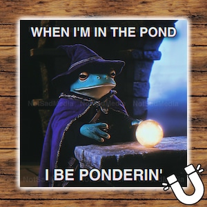 May include: A green frog wearing a purple robe and a pointed hat is holding a glowing orb. The frog is sitting on a stone ledge. The text "WHEN I'M IN THE POND I BE PONDERIN'" is written on the image.