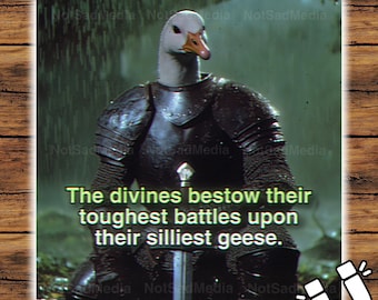 The Divines Bestow Their Toughest Battles | The Frog Mage | Goose Knight | Holographic Magnet