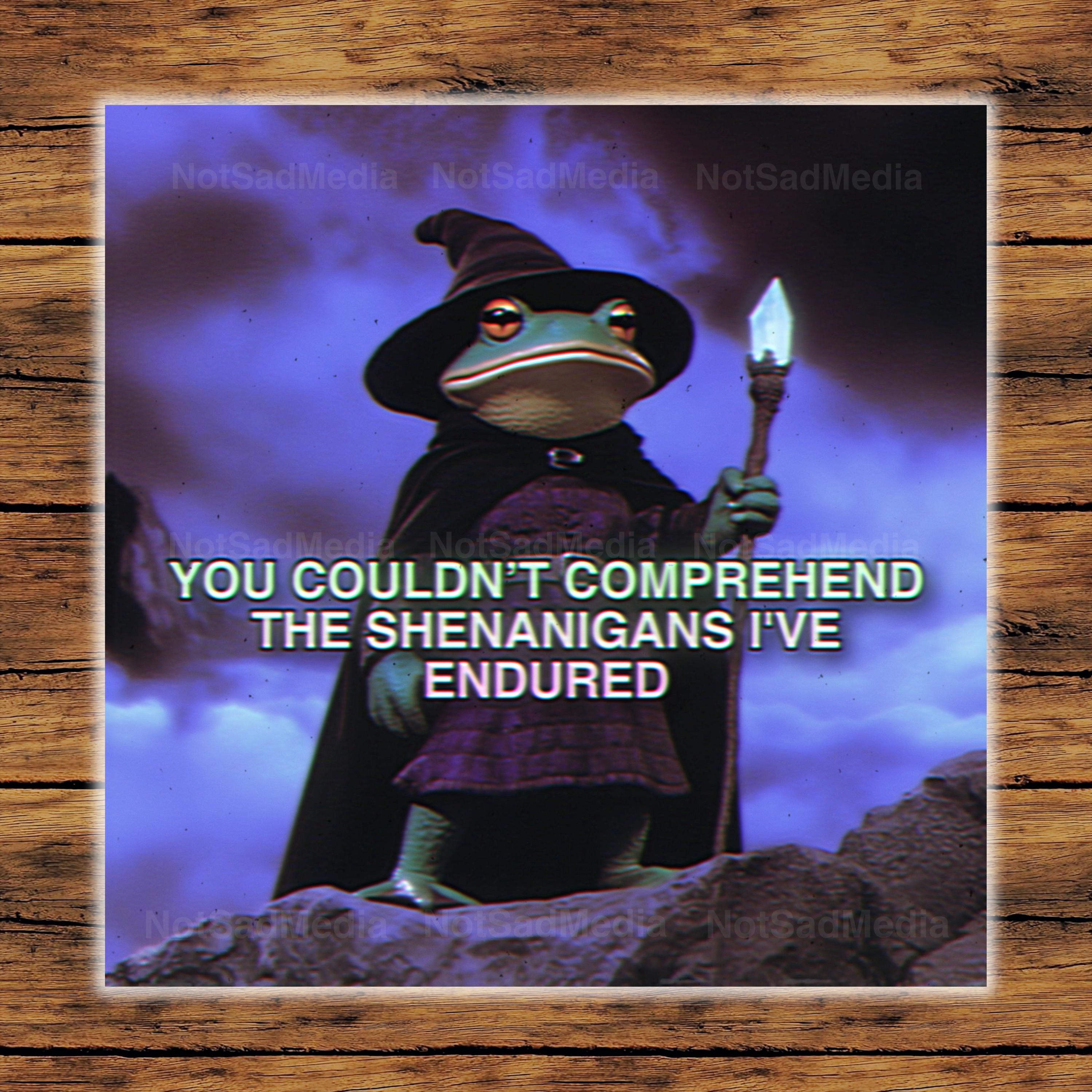 MeMe様 il_fullxfull.7062228597_c720.jpg