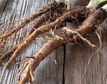 Burdock Root | Dried Root | Cleansing Tea