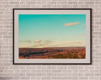 Forest Landscape, Forest Photography, Instant Download, Digital Download, Wall Decor, Nature Photography, Forest Wall Art, American Forest