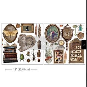 Redesign Decor Maxi Transfer - Collector’s Closet