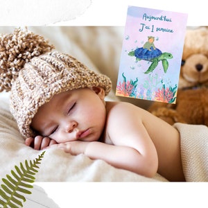 Cartes étapes naissance