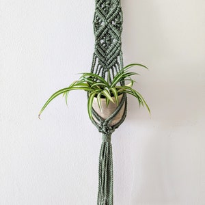 Può includere: Un portavasi in macramè verde con un anello di legno in cima. Una piccola pianta in vaso è appesa al macramè.