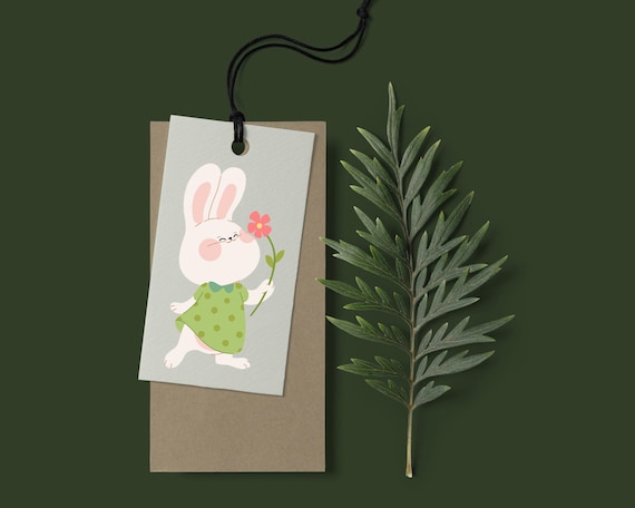 Easter Bunny Clipart Set | Spring Rabbit PNG & SVG Files