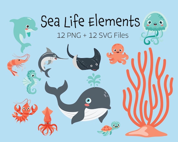Cute Sea Life Clipart Bundle | 12 PNG 12 SVG Ocean Animals